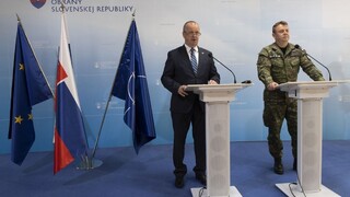 Kriminalita profesionálnych vojakov klesla, na MO prijali opatrenia