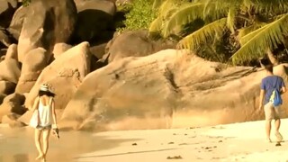 Pralesy na Madagaskare sú v ohrození / Vanilkové ostrovy očami cestovateľa