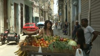 Lesný kúpeľ po japonsky/ Japonské suši chutí aj v Havane