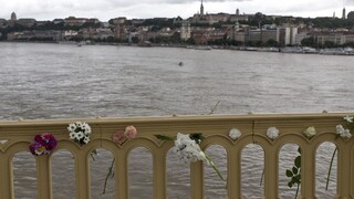 Po tragédii turistickej lode na Dunaji zatkli prvého podozrivého