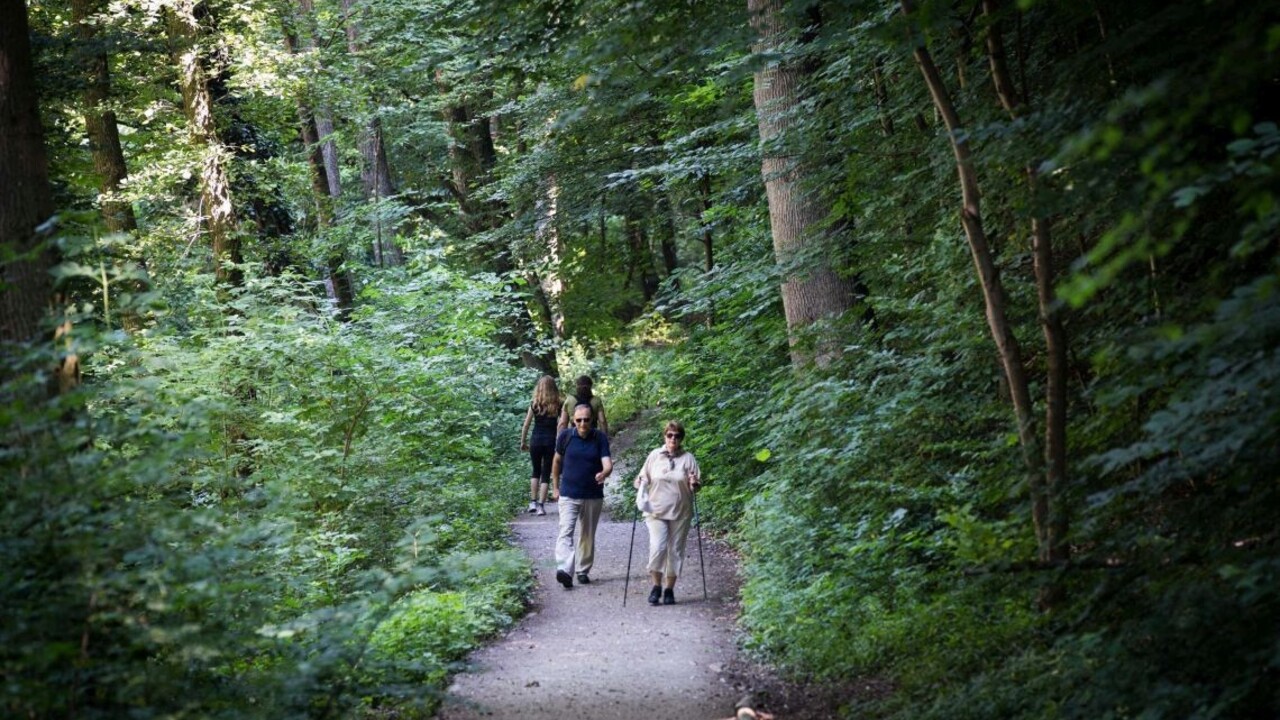 Po kritike opäť vyberajú šéfa lesov TANAP. Hlásia sa dvaja