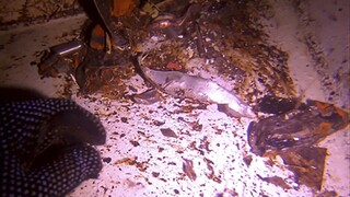 Kto je za tým? Na lode vo vodách SAE zaútočili zrejme profesionáli