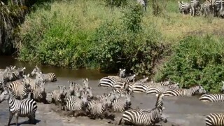 Hudobný festival v malom kráľovstve / Afrika očami cestovateľa