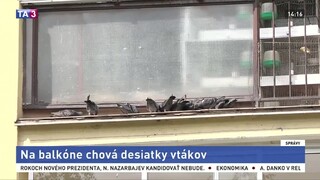 Na balkóne chová desiatky vtákov, podľa úradov je to v poriadku