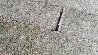 Trávnik na námestí v Bratislave vyschol, zlyhalo zavlažovanie