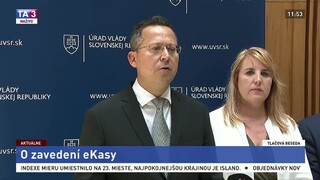 TB L. Kamenického a L. Wittenbergovej o zavedení eKasy
