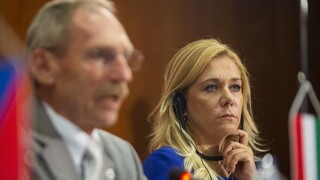 Kto by mal v EÚ riešiť migráciu? Názory vo V4 sú podobné