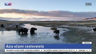 Ázia očami cestovateľa / Parohy ako súčasť medicíny