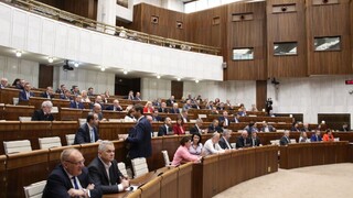 Rokovanie NR SR: Opätovná voľba ústavných sudcov i sporné exukúcie