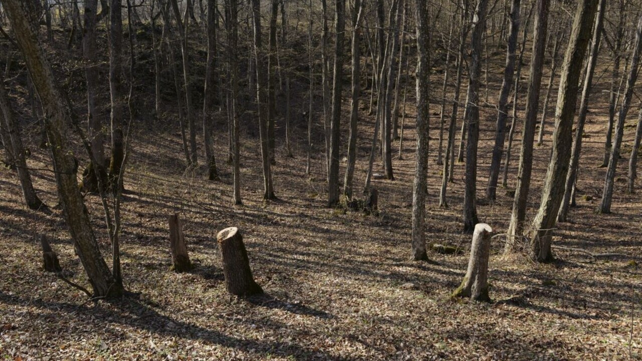 Šéfka firmy nechala zomrieť zamestnanca, bála sa ho nahlásiť