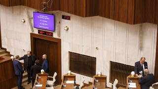 Každý to deklaroval. Koalícia sa dohodla, že zvolí päť kandidátov