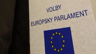 Slováci mali slabú motiváciu ísť voliť v eurovoľbách, ukazuje prieskum