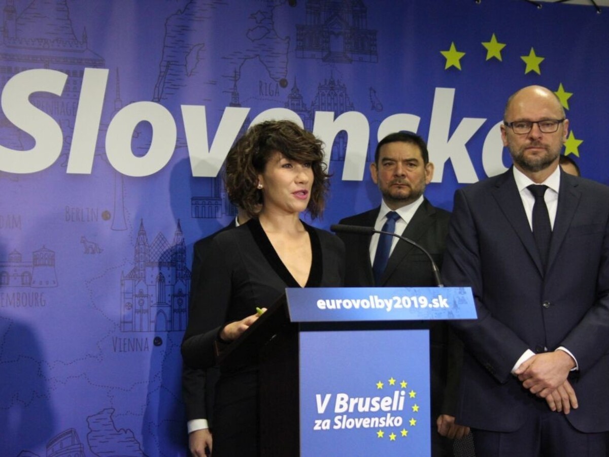 Tímlíder SaS vysvetľoval, aký má byť problém s Nicholsonovou