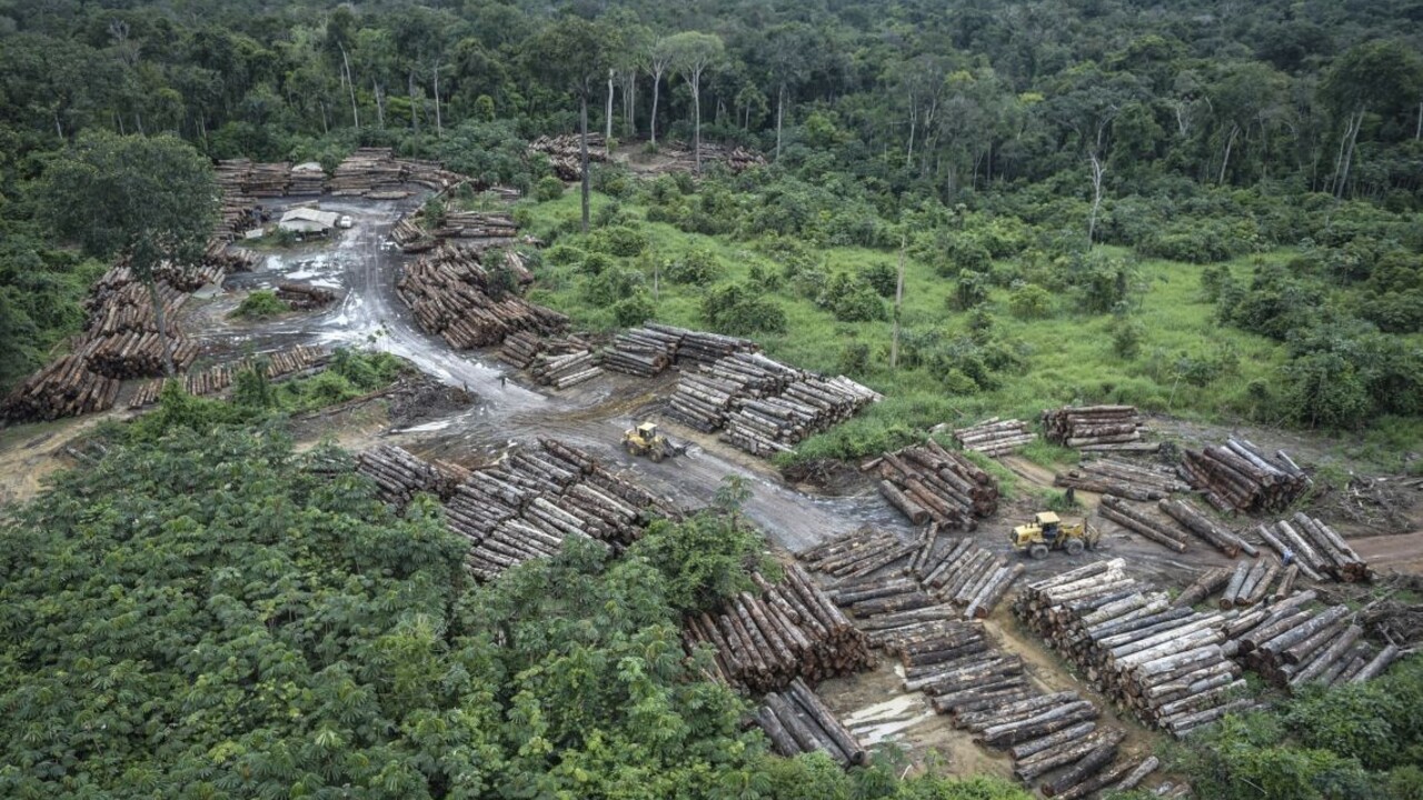 Ničenie brazílskeho pralesa sa za Bolsonara dramaticky zrýchlilo