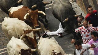 V Španielsku opäť behajú s býkmi, už po tretíkrát v tomto roku