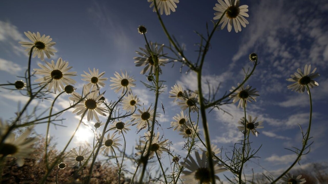 Po ochladení sa vráti horúce leto, teploty porastú k tridsiatke