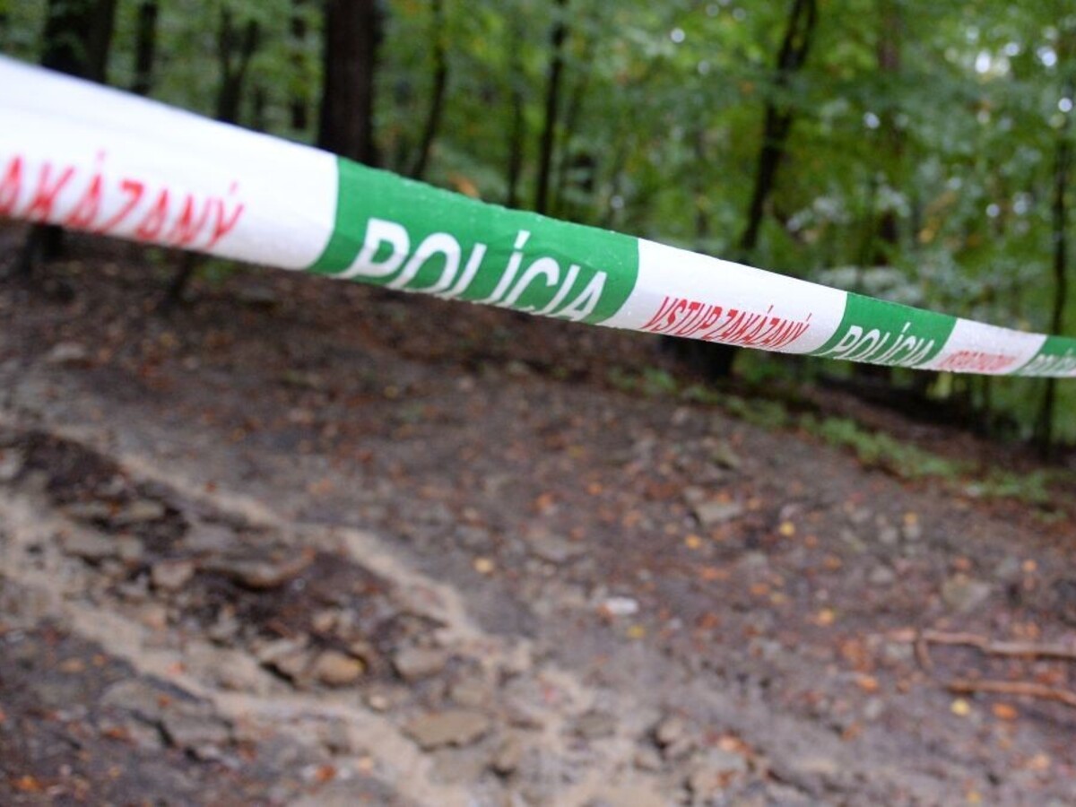 Traja bratia sa na Spiši pohádali na smrť. Polícia rieši vraždu