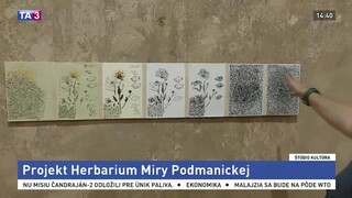 Rozhovor s Dávidom Hartlom / Projekt Herbárium / Bratislavské divadelné noci / Výstava v Bratislavskej synagóge / Šmátranie v širočine / Window gallery v Kunsthalle