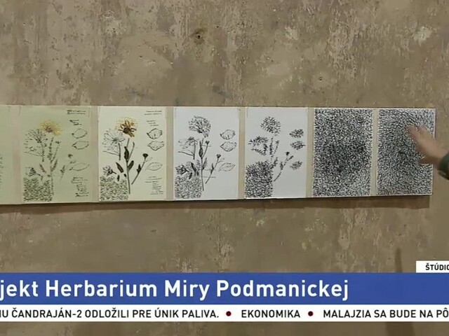 Rozhovor s Dávidom Hartlom / Projekt Herbárium / Bratislavské divadelné noci / Výstava v Bratislavskej synagóge / Šmátranie v širočine / Window gallery v Kunsthalle