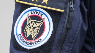 Slovenské orgány odovzdali nájomného vraha do Maďarska