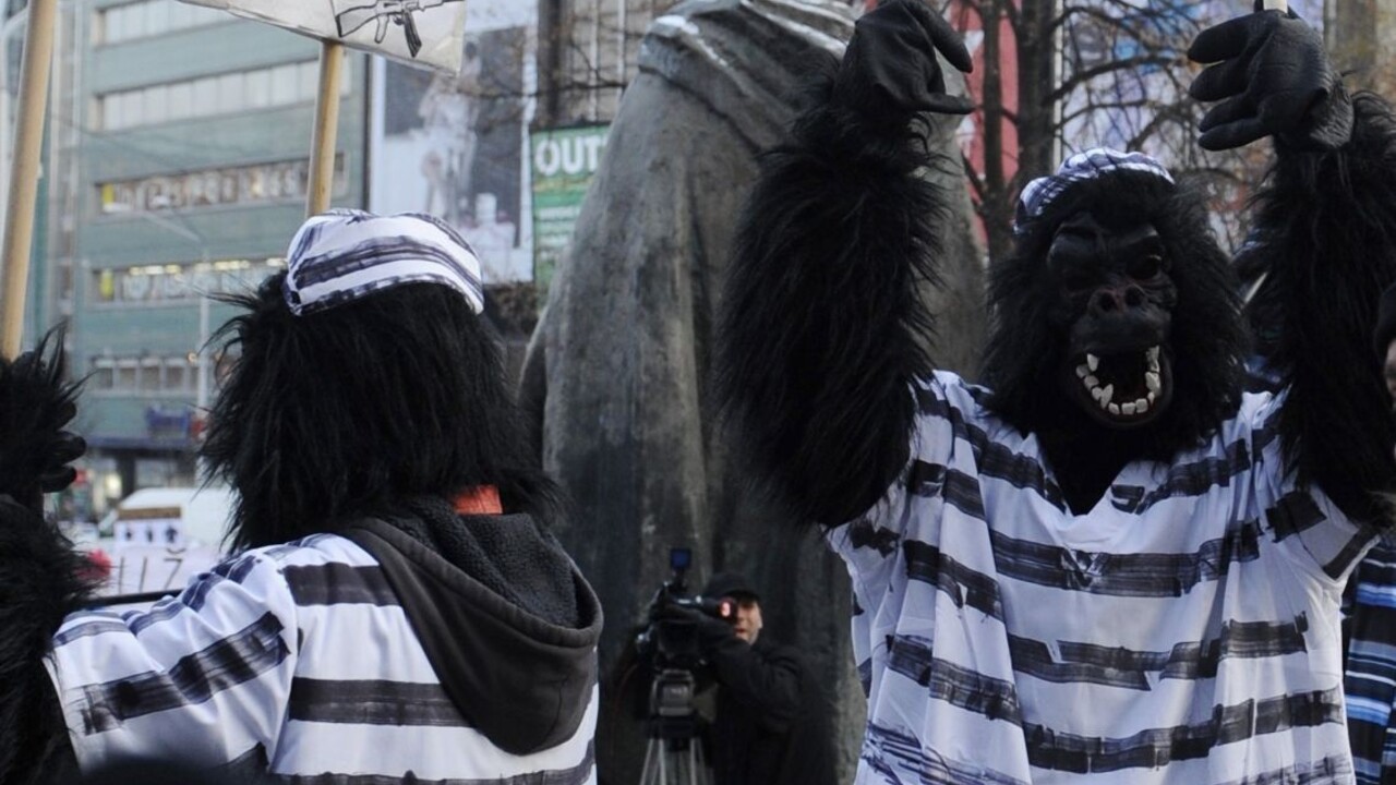 Šéf vyšetrovateľov kauzy Gorila odchádza z polície do civilu