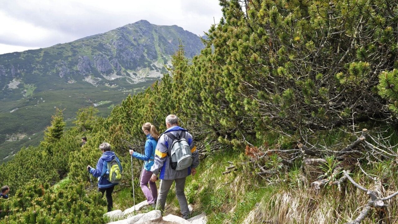 Tragédia vo Vysokých Tatrách. Muž skonal pri zbere lesných plodov