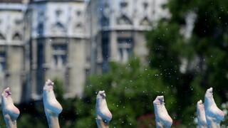 Slovenské akvabely sa pripravujú na prvé MS hostené Slovenskom