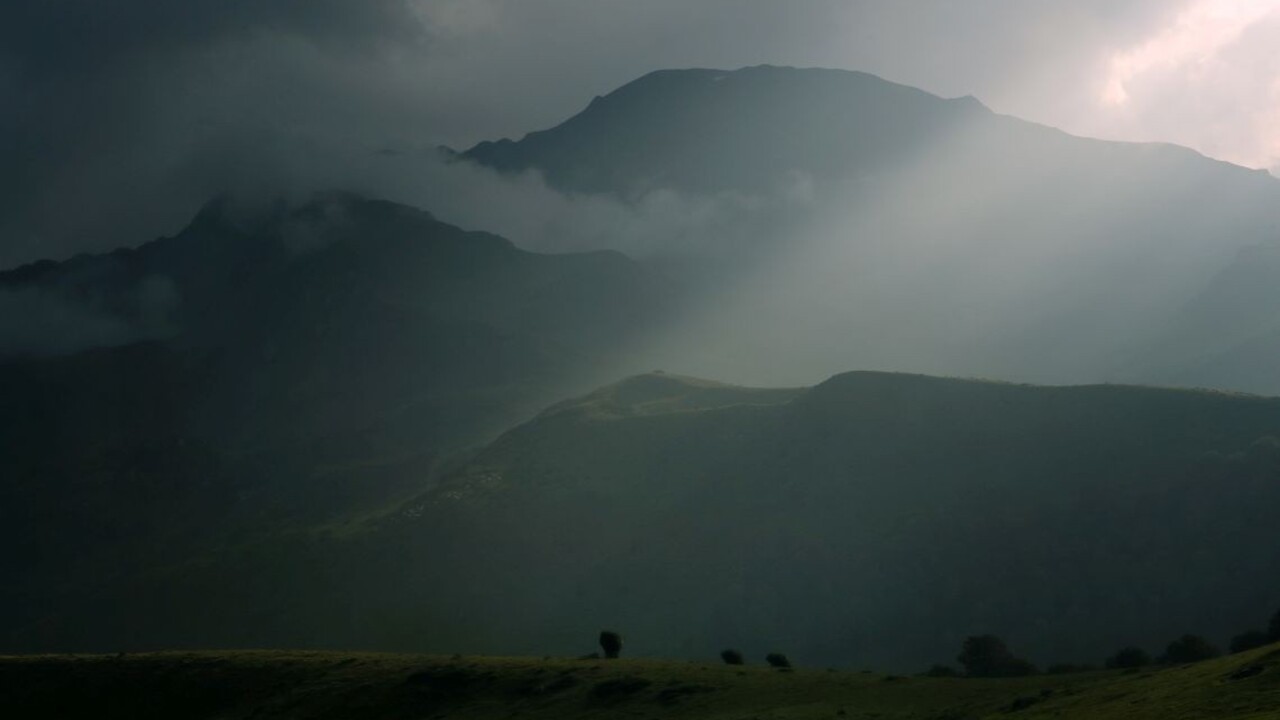 Prvý za sto rokov. V Pyrenejach sa narodil rys ostrovid