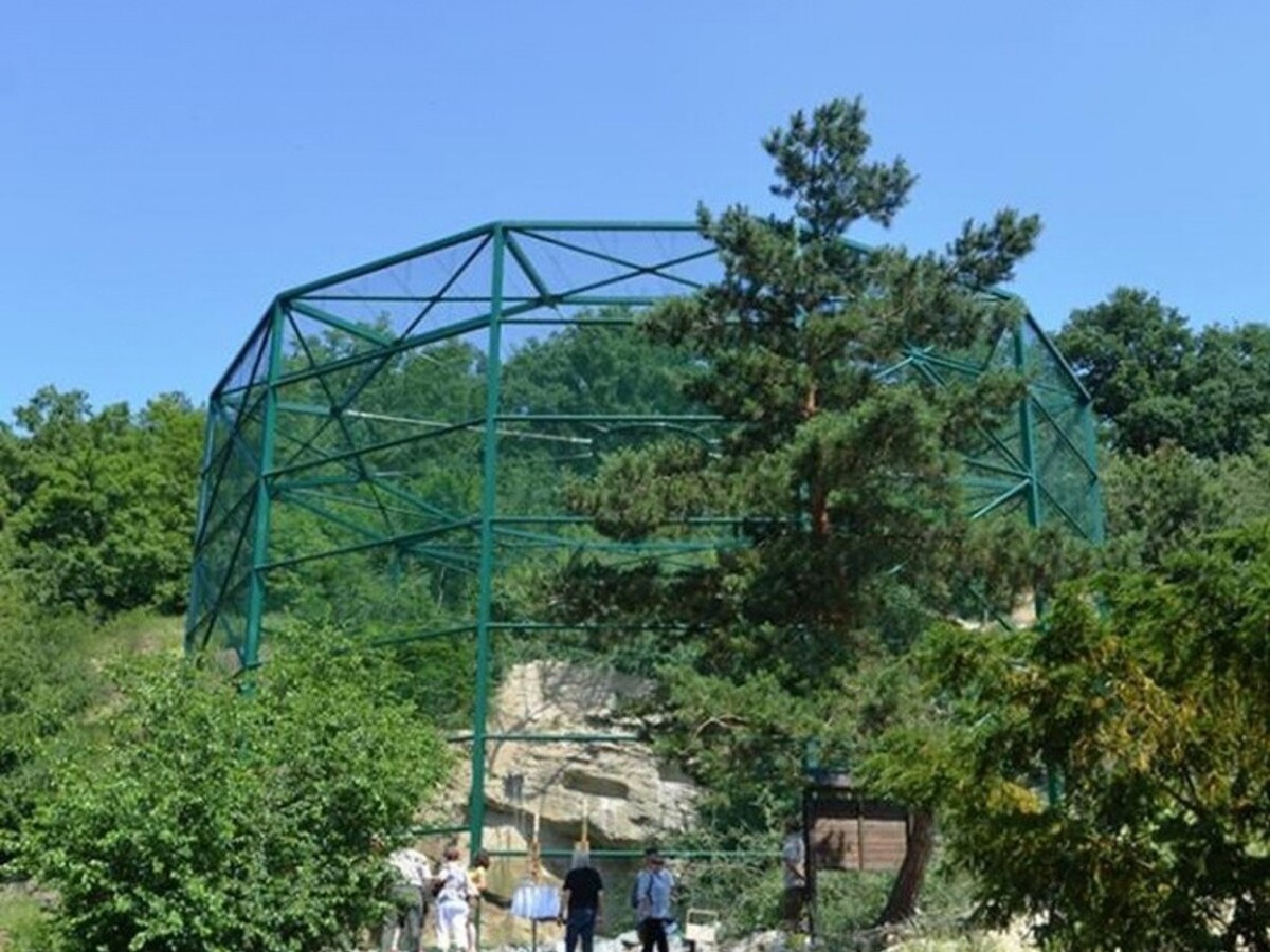 Vzácna panda je na úteku, podarilo sa jej utiecť z českej ZOO