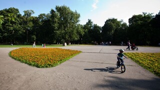 Sad Janka Kráľa čaká obnova. Škodia mu podujatia, naznačujú ochranári