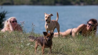 Po ochladení sa vrátia horúčavy, teploty majú každým dňom stúpať