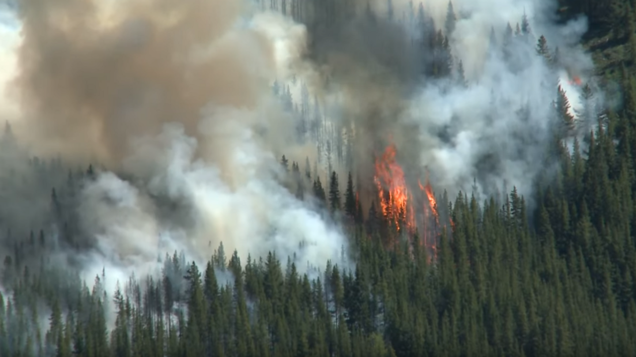 Za lesnými požiarmi sú mimovládky, myslí si brazílsky prezident