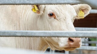 46. ročník výstavy Agrokomplex v Nitre