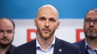 Na juh sa často zabudlo, tvrdí PS. Oznámilo maďarskú platformu