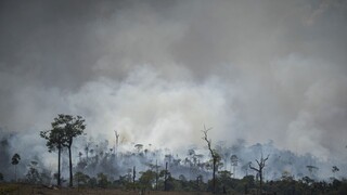 Amazónia horí, SR je pripravená blokovať obchodnú dohodu
