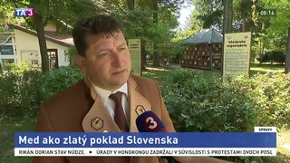 ŠTÚDIO TA3: Predseda Slovenského zväzu včelárov M. Rusnák o mede