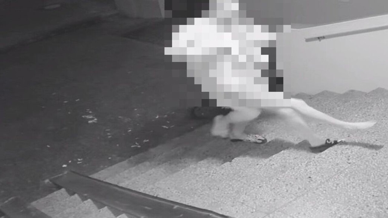 V Petržalke zachránili mesiace týranú a bitú mladú ženu