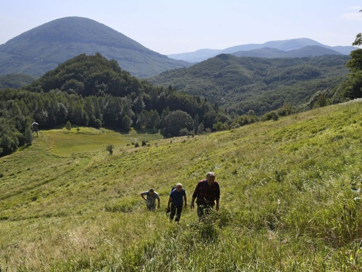 Sprístupnili obrovský megafón z dreva, znásobuje zvuky lesa