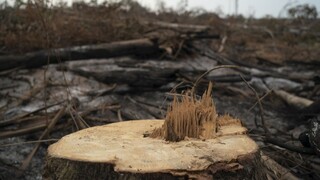 Zablokujeme Mercosur? Dohoda je podľa Bruselu pre EÚ výhodná