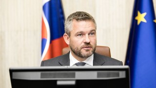 O Jankovskej musia rozhodnúť kompetentní, odkázal premiér