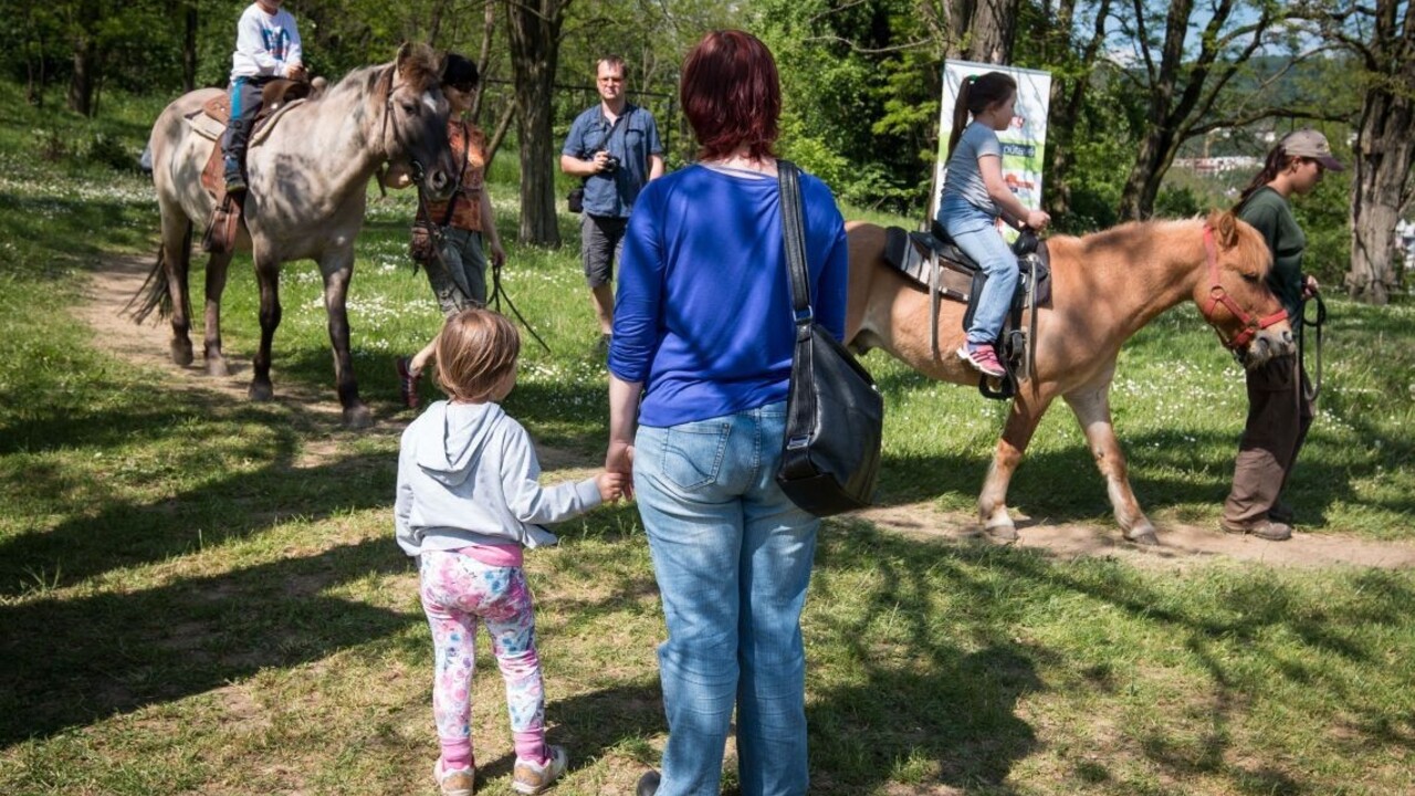 Odobrili zvýšený rodičovský príspevok či strop na vek pre matky