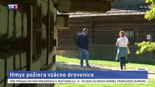 Slovenským skanzenom hrozí skaza, ohrozuje ich zákerný hmyz