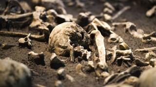 V dome diktátora našli kosti, počas jeho režimu zmizli stovky ľudí