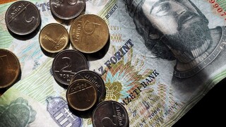 Maďarský forint historicky klesol, strácajú aj iné európske meny