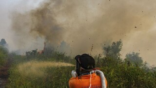 Pre hustý dym zatvárajú tisícky škôl. Indonéziu a Malajziu trápia požiare
