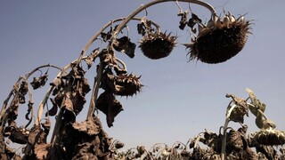 Zem sa môže otepliť o 7 °C, katastrofu veští väčšina scenárov