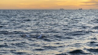 Američanka je rekordérkou, štyrikrát za sebou preplávala La Manche