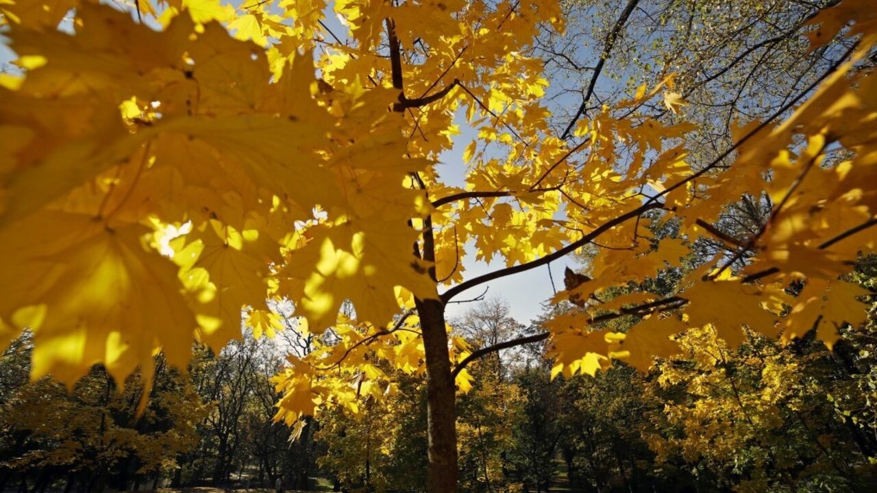 Deň rovnako dlhý ako noc. S rovnodennosťou prichádza jeseň