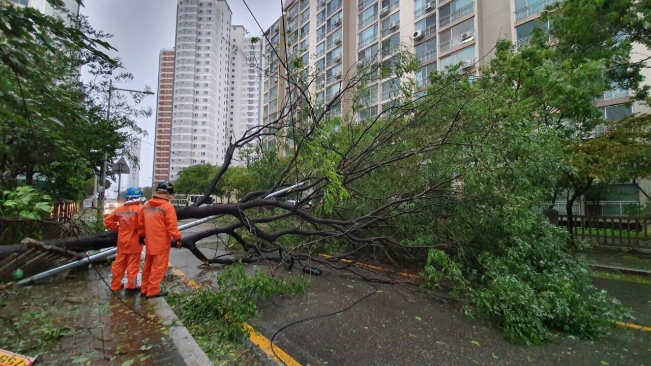 Kóreou sa prehnal tajfún, ľudí odstavil od elektriny a poškodil domy