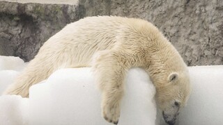 Niektoré štáty budú neobývateľné, varuje nová klimatická správa